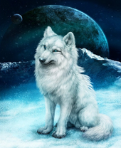 Хитрый белый волк