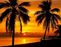 Пальмы, море и закат