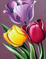 Три ярких цветных тюльпана