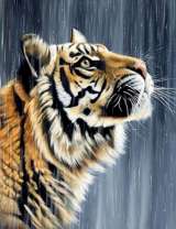 Большой тигр под летним дождем