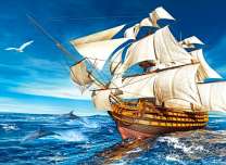 Дельфины и чайки сопровождают шхуну