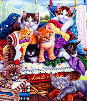 Разномастные котята