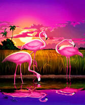 Три фламинго на фоне заката