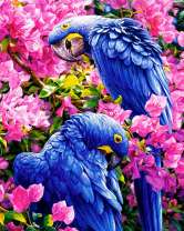 Попугаи на розовых цветах