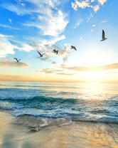 Восход солнца над морем и стая птиц