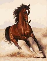 Неудержимый галоп лошади