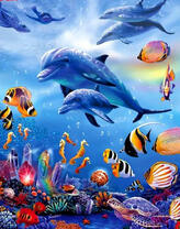 Стая дельфинов у кораллового рифа