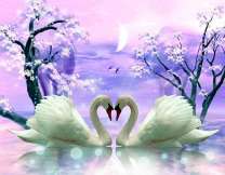 Пара лебедей под лунными цветами