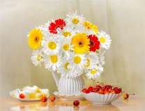 Нежные ромашки с герберами и вишни