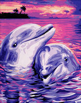 Нежная пара красивых дельфинов на фоне острова