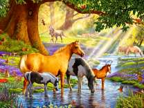 Лошади у солнечного ручья