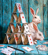 Белые кролики и домик из карт