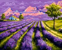 Поле лаванды у фермерского домика