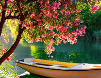 Лодка под цветущим деревом