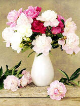 Букет пионов в белой фарфоровой вазе