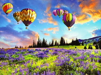 Воздушные шары над цветочными лугами