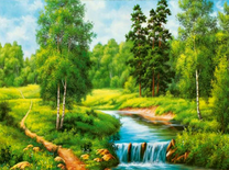 Молодые березки у реки