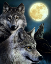 Пушистые белые волки и полная луна