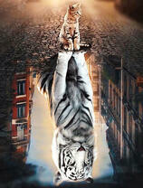 Котенок и отражение большого тира