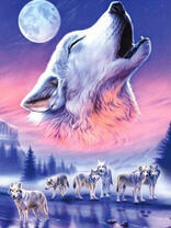 Стая волков на зимней реке