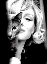 Мэрилин Монро с кошечкой