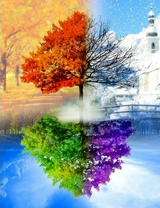 Дерево и времена года