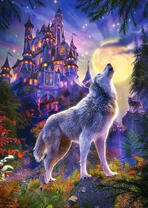 Замок и его охранник