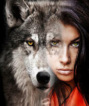 Девушка и серый волк