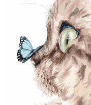 Ошарашенный котёнок с бабочкой на носу