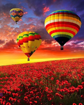 Воздушные шары над маковым полем