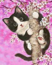 Черно-белый котёнок на цветущем дереве