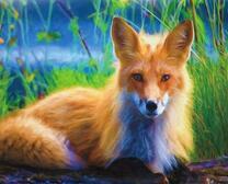 Пушистая лисичка на фоне зеленой травы