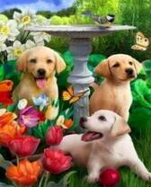 Три щенка в весеннем саду