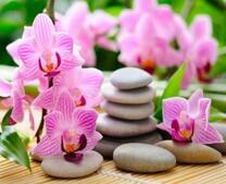Орхидеи и гладкие камушки