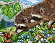 Еноты и бабочка