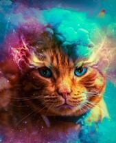 Рыжий кот среди разноцветного тумана