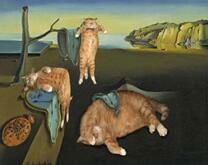 Сюрреалистические рыжие коты