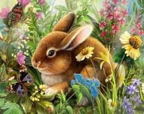 Рыженький кролик среди цветов и бабочек
