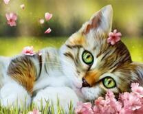 Котёнок среди розовых цветочков