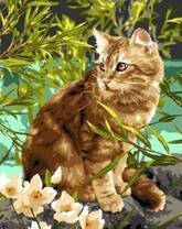 Рыжий кот на камне у воды