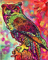 Сова в ярких сказочных цветах