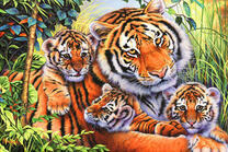Тигрица и три ее малыша