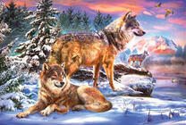 Волки на фоне зимних гор