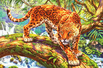 Леопард на ветке большого дерева