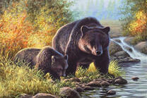 Медведица и ее малыш у реки