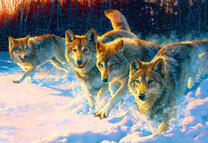 Нападение волков