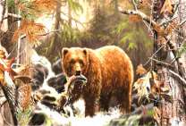 Медведь поймал рыбу