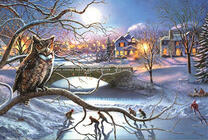 Сова на дереве у замерзшей реки