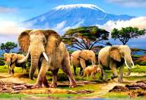 Стадо слонов на фоне крупного вулкана