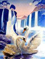 Пара лебедей у ночных водопадов под полной луной